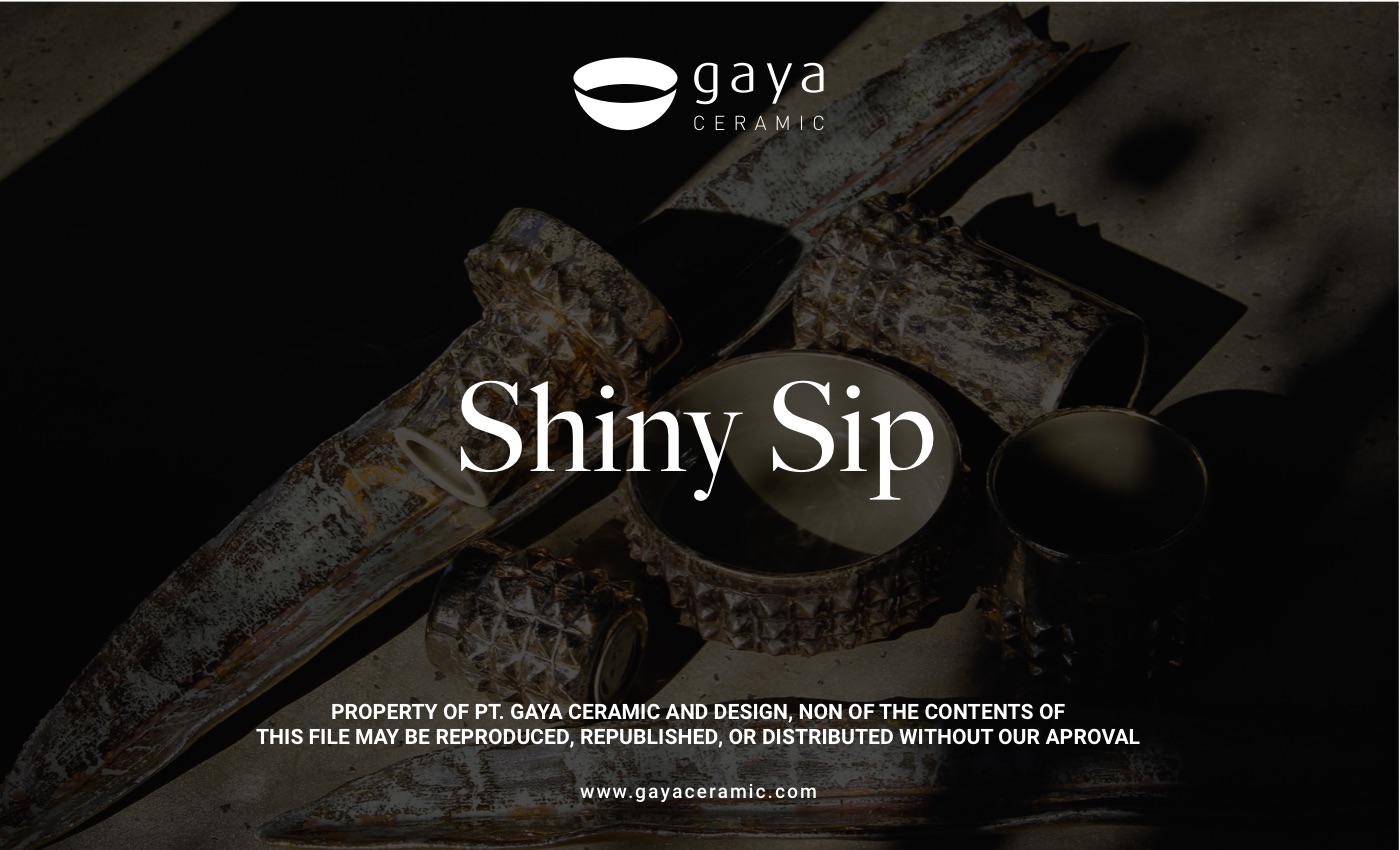 Shiny Sip 2026 lookbook